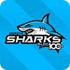 Moruya Sharks Logo