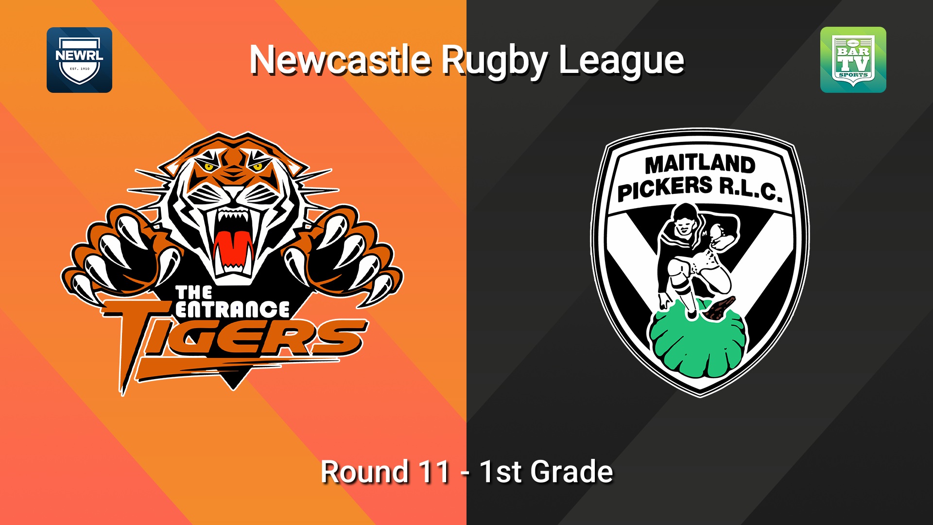 260628-video-Newcastle RL Round 11 - 1st Grade - The Entrance Tigers v Maitland Pickers Slate Image