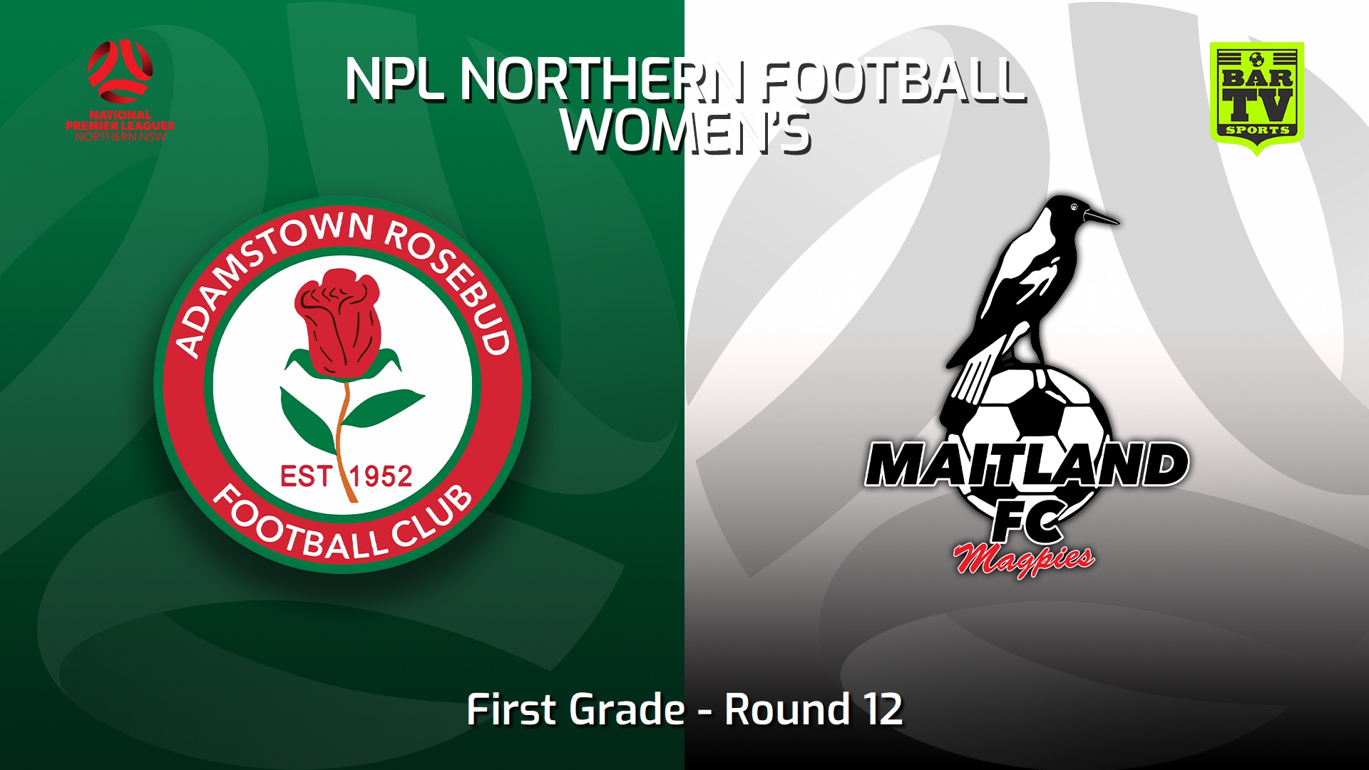 220618-NNSW NPLW Round 12 - Adamstown Rosebud JFC W v Maitland FC W Slate Image