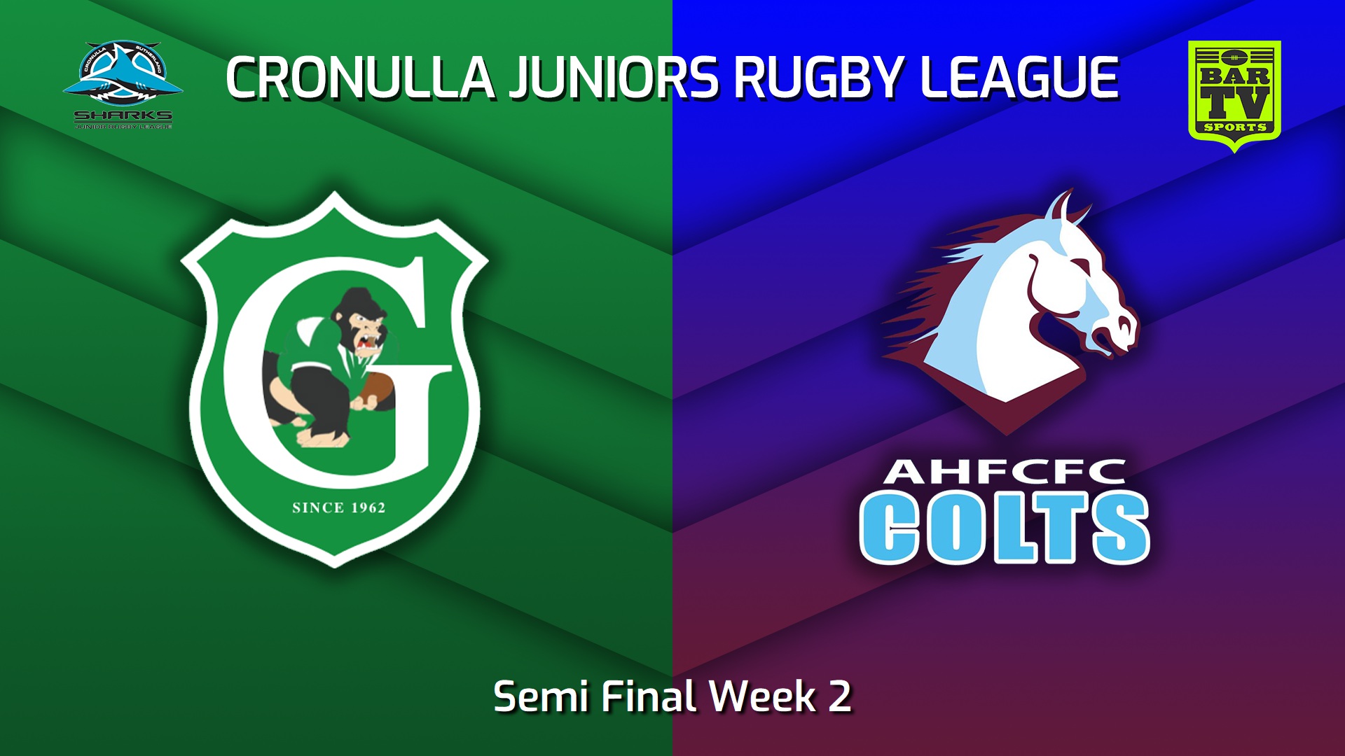 220821-Cronulla Juniors - Blues Tag U12 Silver Semi Final Week 2 - Gymea Gorillas v Aquinas Colts Slate Image