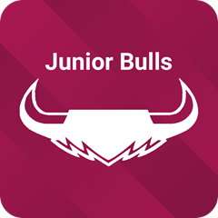 TFW Junior Bulls Logo