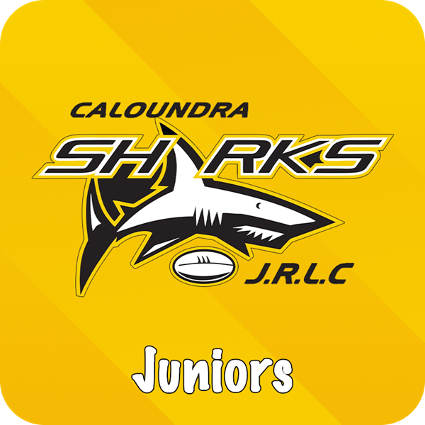 Caloundra Sharks JRL Logo