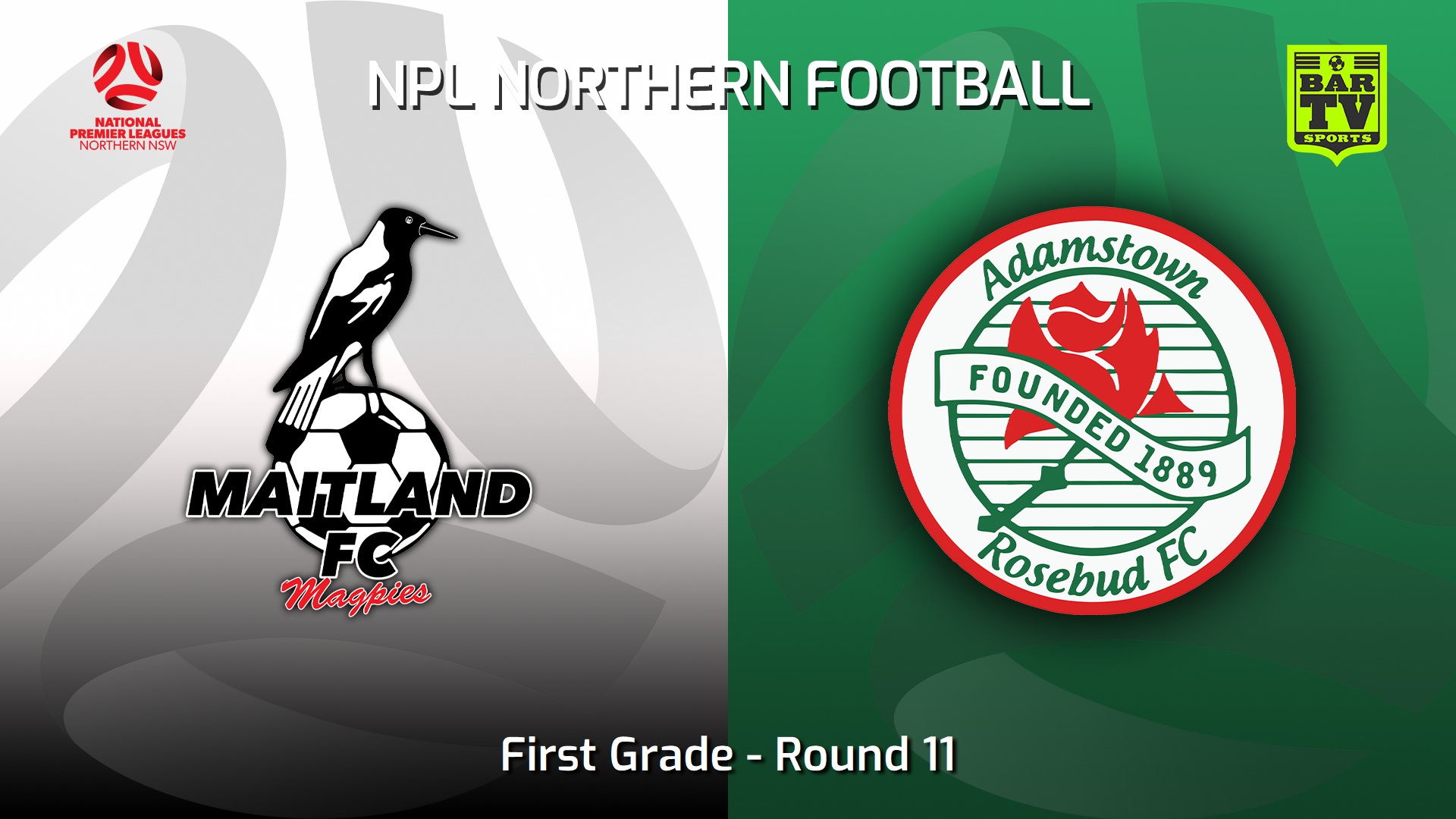 230513-NNSW NPLM Round 11 - Maitland FC v Adamstown Rosebud FC Slate Image
