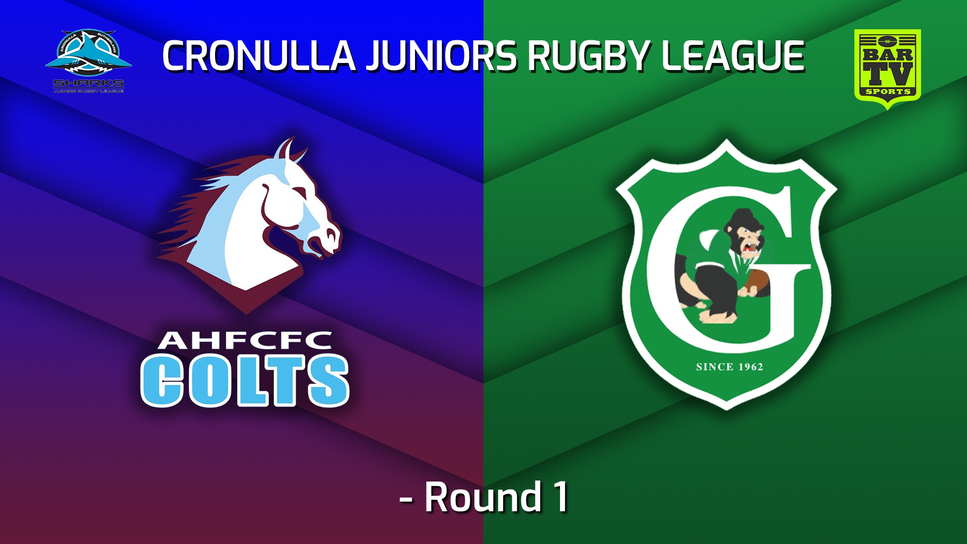 220430-Cronulla Juniors - Under 7 Blue - Round 1 - Aquinas Colts v Gymea Gorillas Slate Image