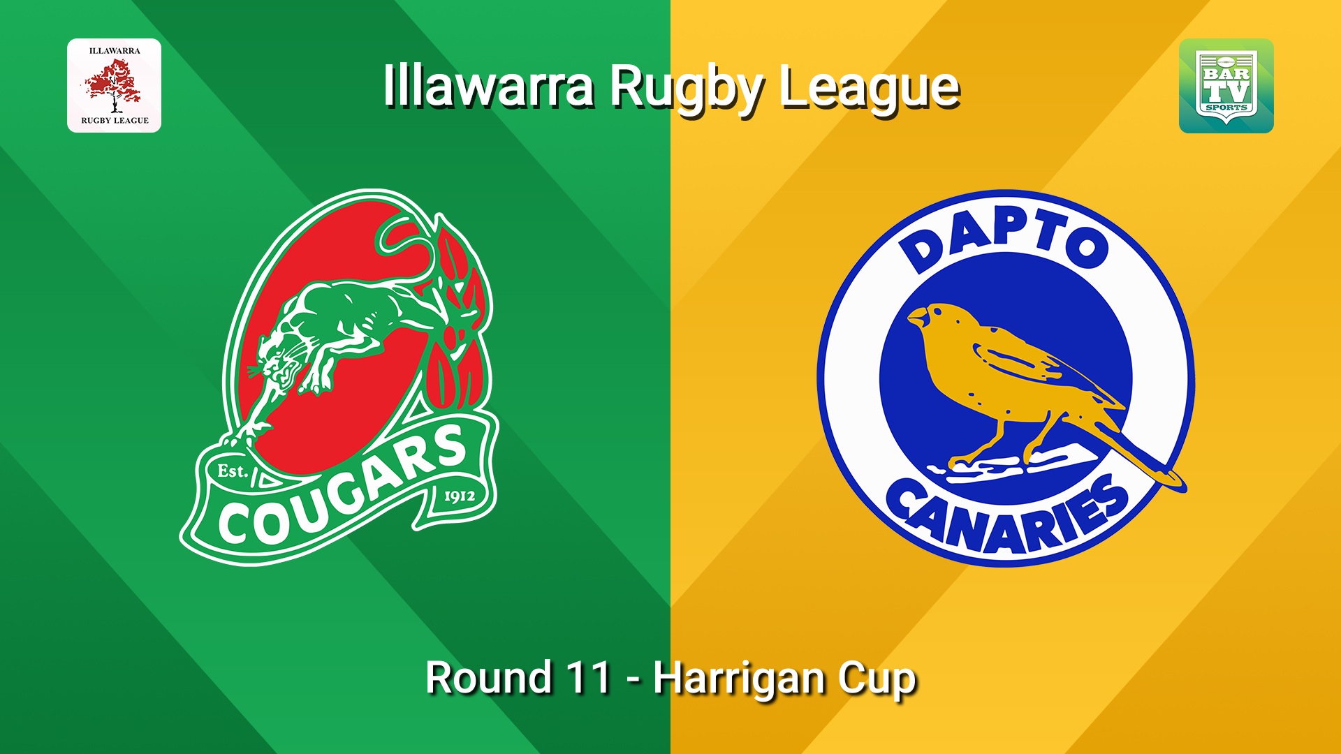 260725-video-Illawarra Round 11 - Harrigan Cup - Corrimal Cougars v Dapto Canaries Slate Image