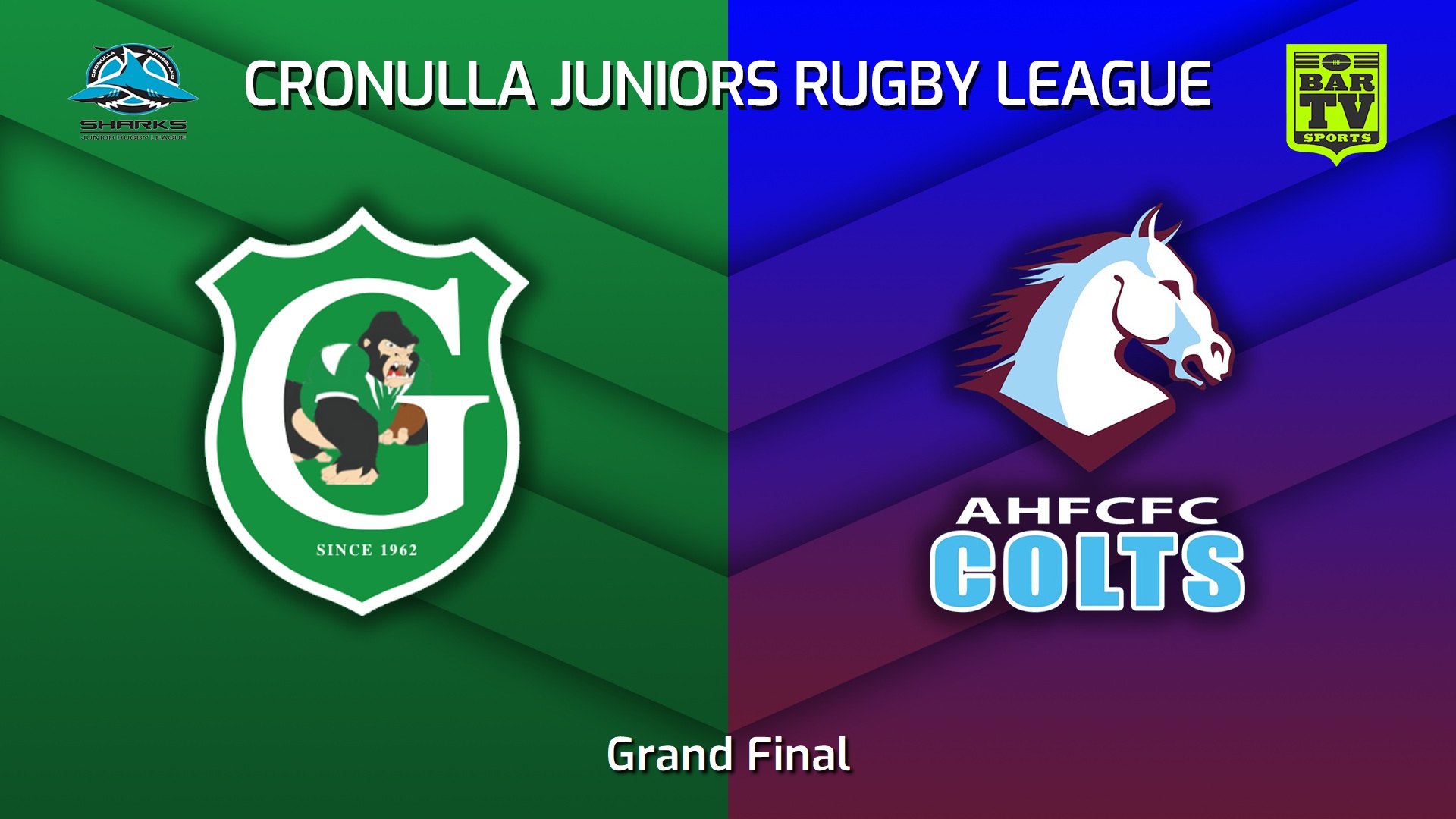 230826-Cronulla Juniors Grand Final - Over 35 Men's Blues Tag Gold - Gymea Gorillas v Aquinas Colts Slate Image