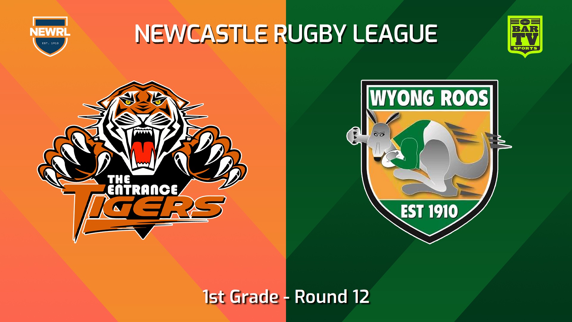 240831-video-Newcastle RL Round 12 - 1st Grade - The Entrance Tigers v Wyong Roos Slate Image