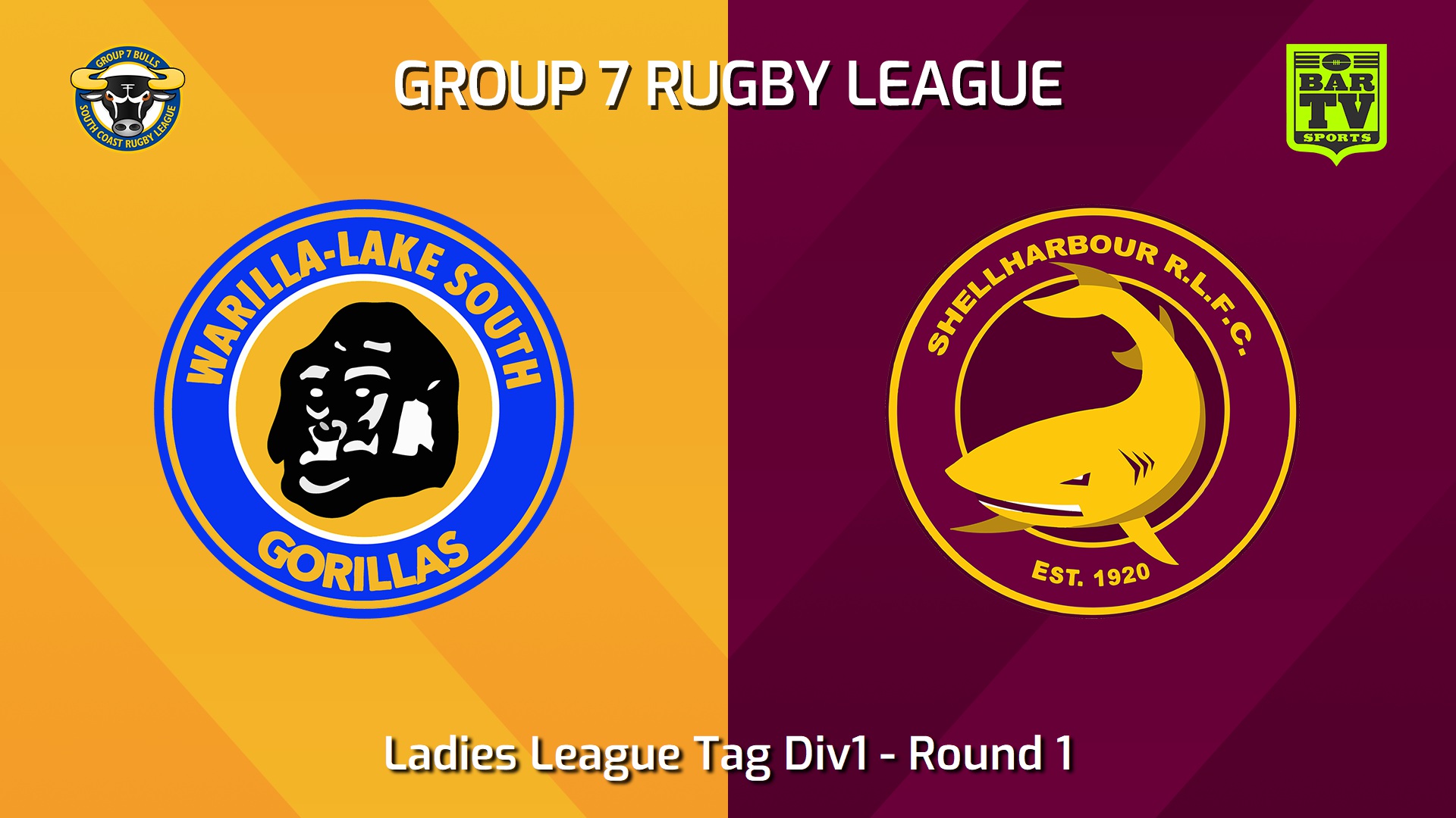 240714-video-South Coast Round 1 - Ladies League Tag Div1 - Warilla-Lake South Gorillas v Shellharbour Sharks Slate Image
