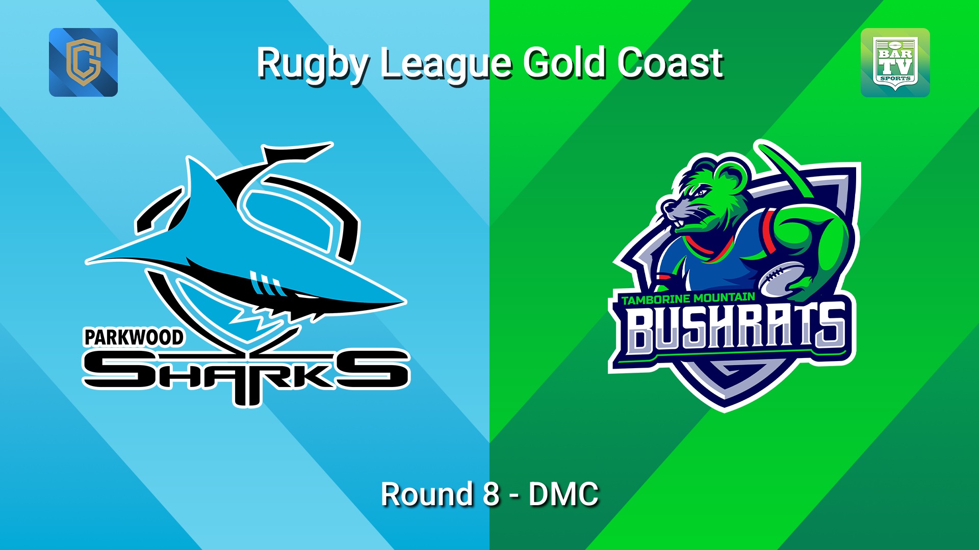 260517-video-Gold Coast Round 8 - DMC - Parkwood Sharks v Tamborine Mountain Bushrats Slate Image