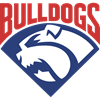 Gunnedah Bulldogs Logo
