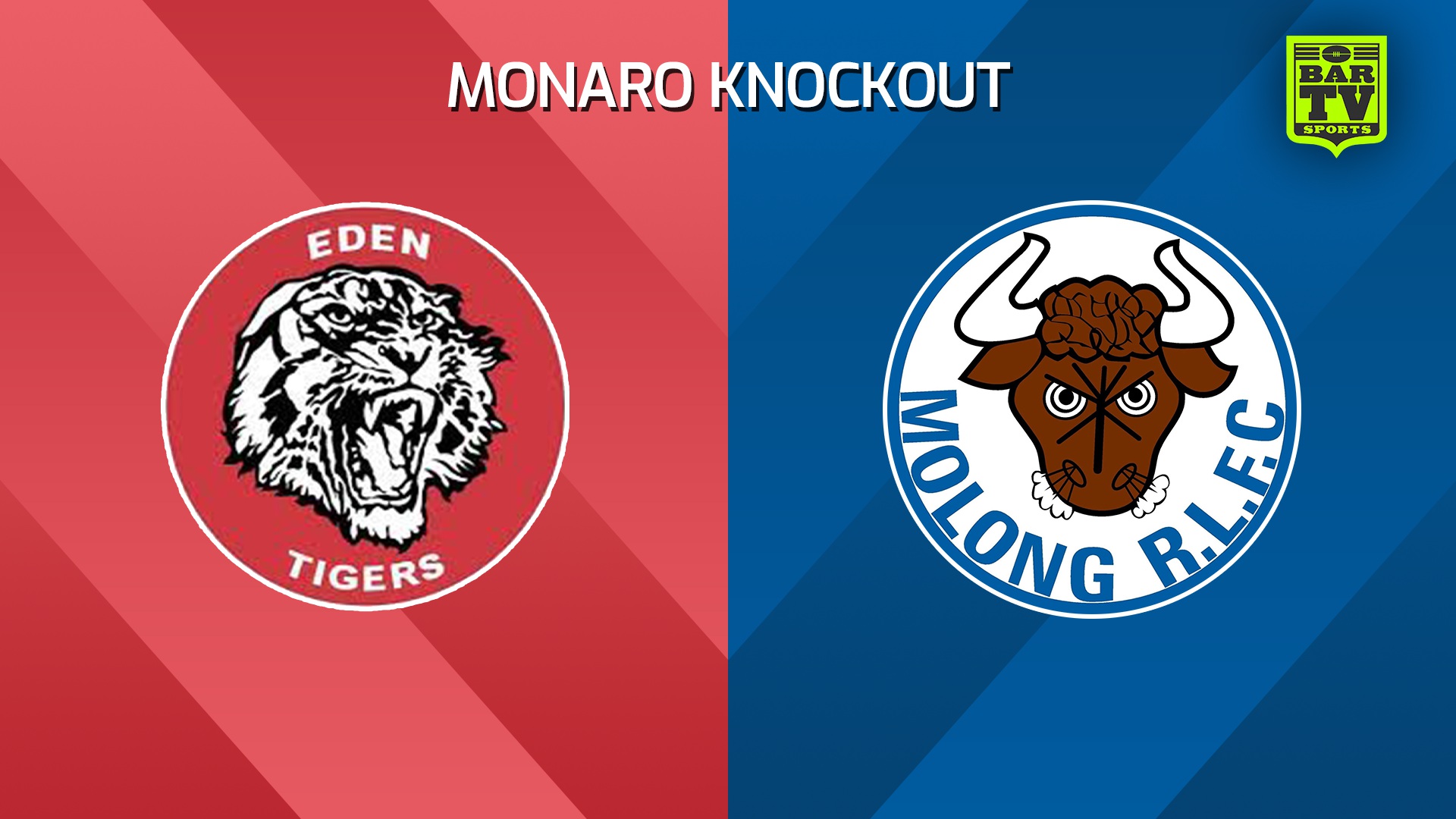 240316-Monaro Knockout Plate Grand Final - Men's - Eden Tigers v Molong Bulls Slate Image