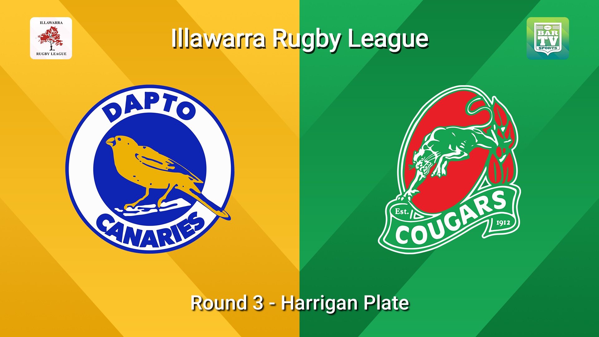 260516-video-Illawarra Round 3 - Harrigan Plate - Dapto Canaries v Corrimal Cougars Slate Image