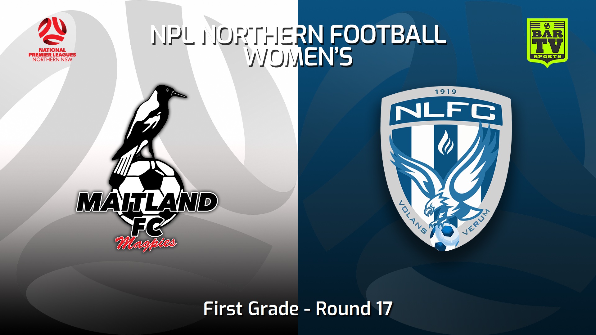 230716-NNSW NPLW Round 17 - Maitland FC W v New Lambton FC W Slate Image