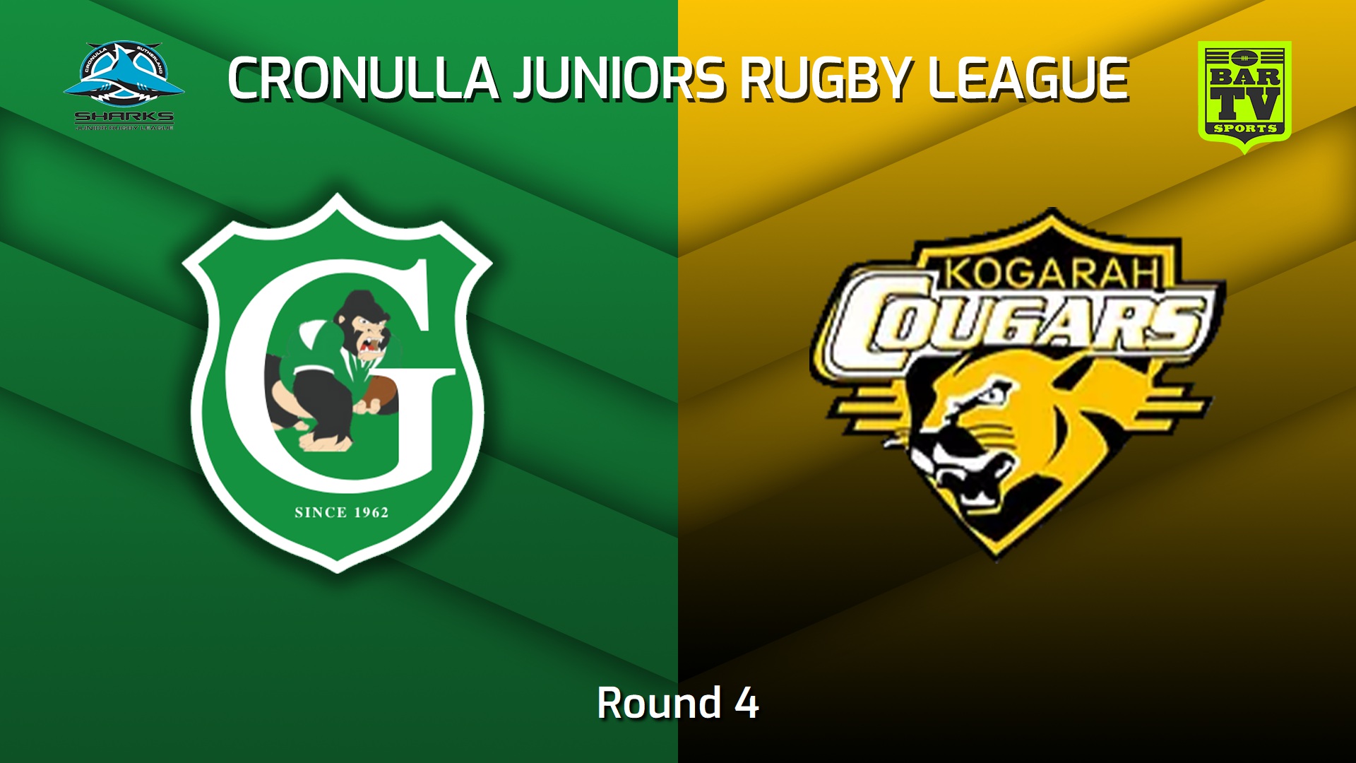 230506-Cronulla Juniors Round 4 - U13 Bronze - Gymea Gorillas v Kogarah Cougars Slate Image