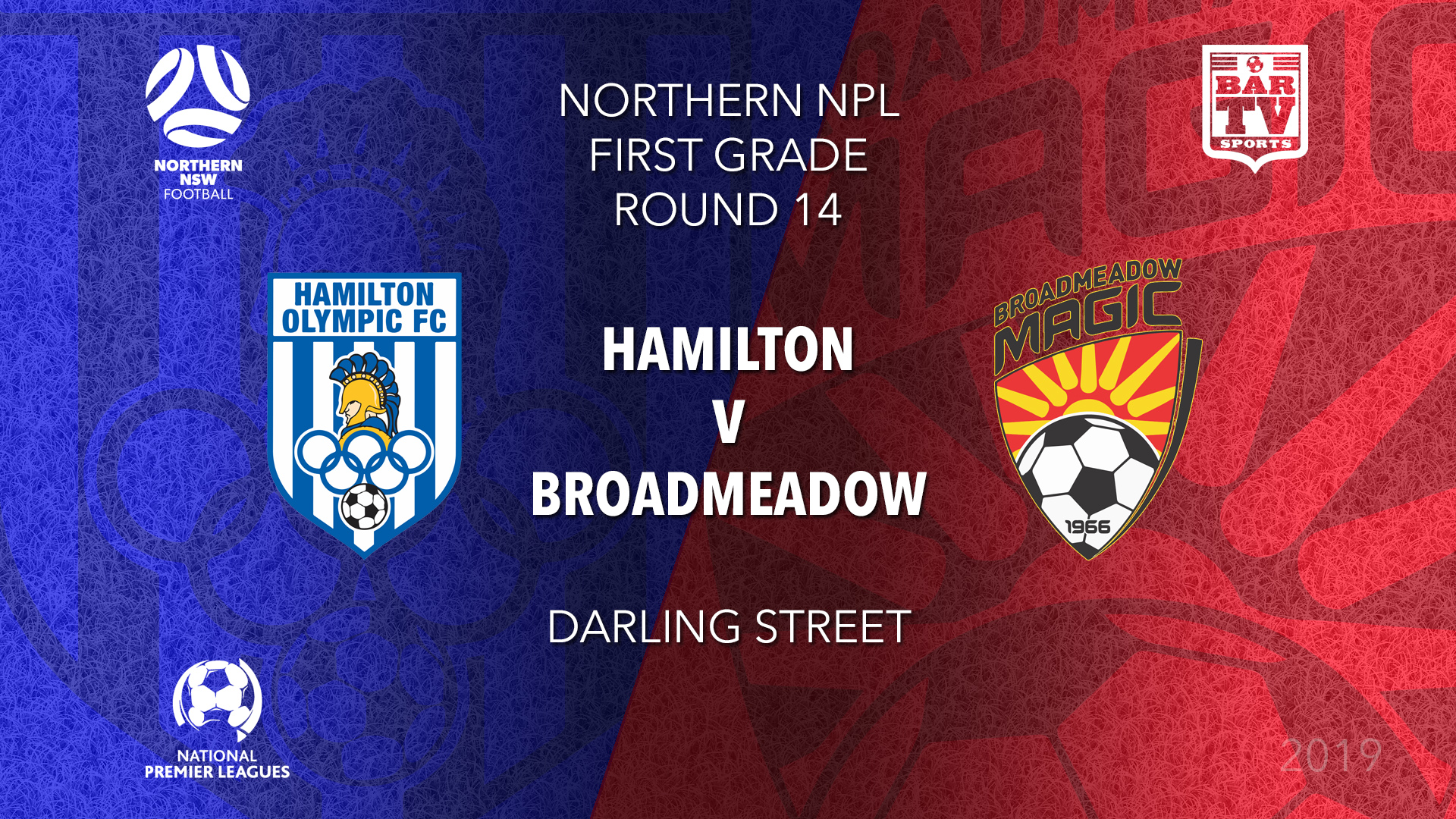 NPL - NNSW Round 14 - Hamilton Olympic FC v Broadmeadow Magic FC Slate Image