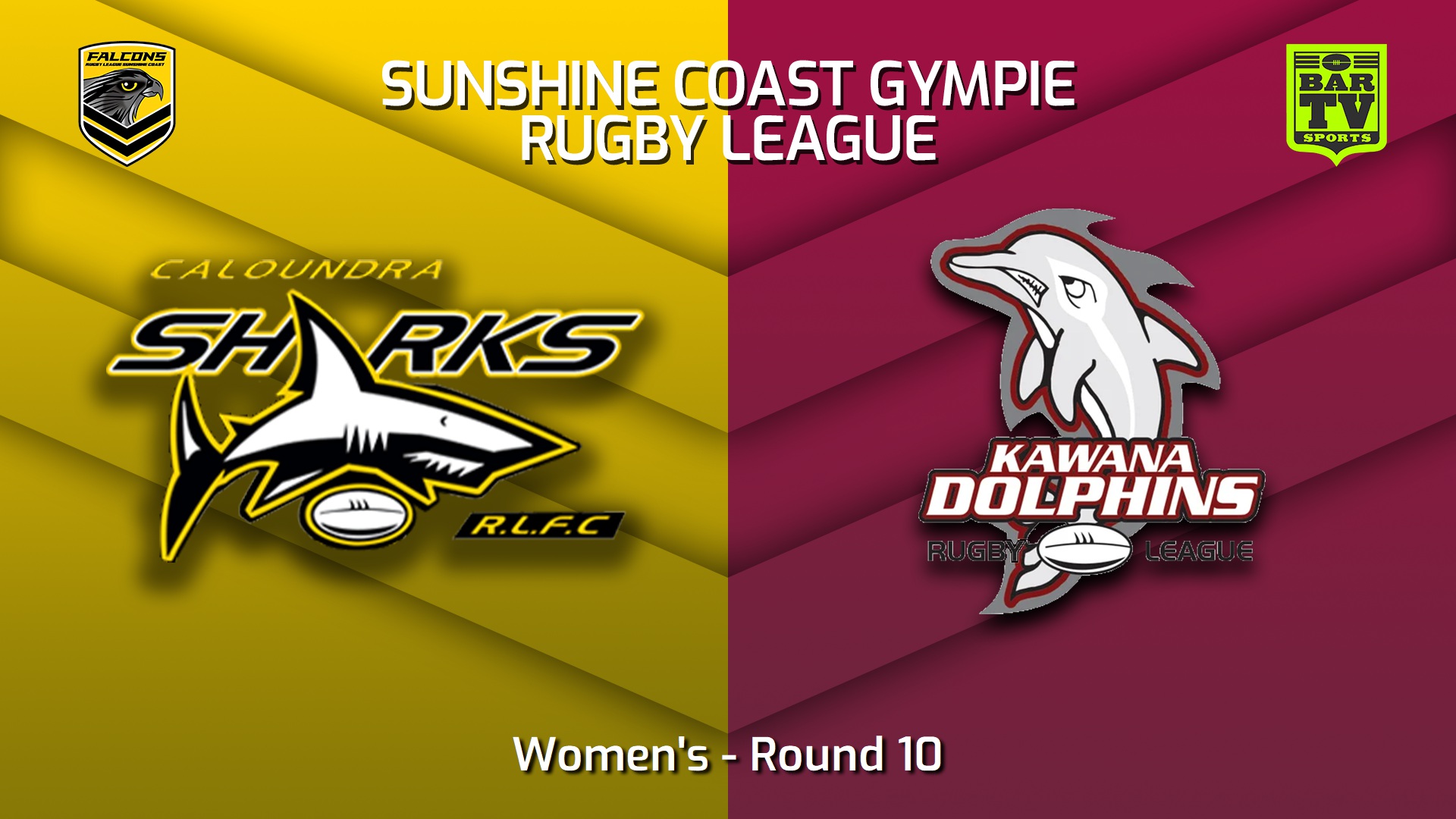 230617-Sunshine Coast RL Round 10 - Women's - Caloundra Sharks v Kawana Dolphins (1) Slate Image