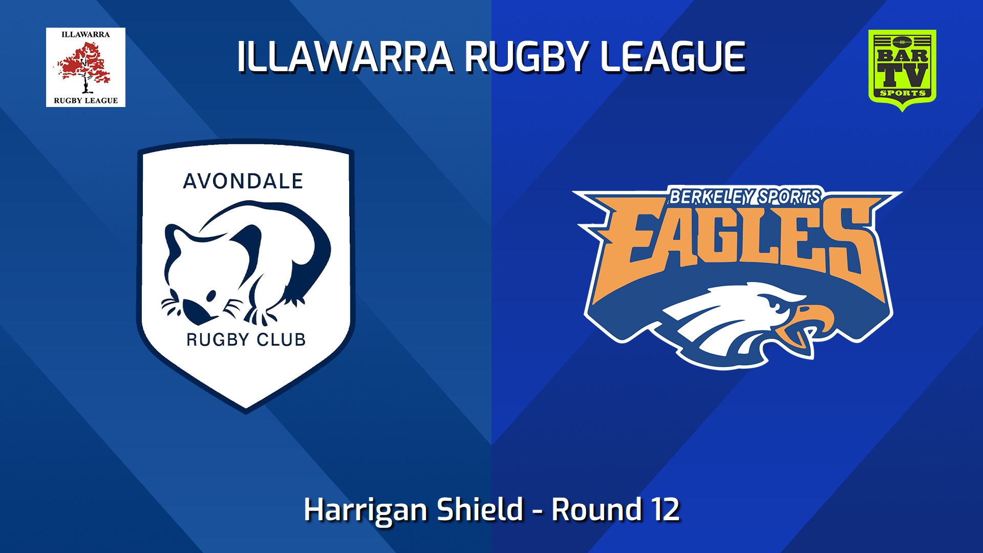 240720-video-Illawarra Round 12 - Harrigan Shield - Avondale Wombats v Berkeley Eagles Slate Image