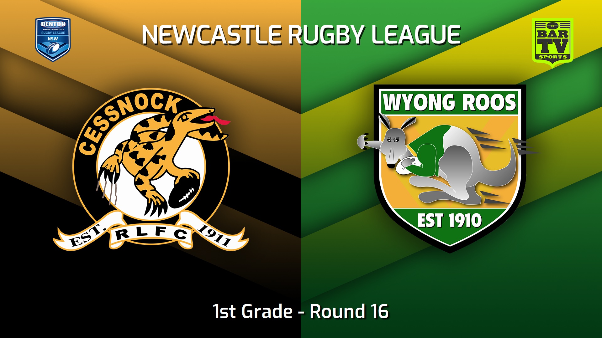 220716-Newcastle Round 16 - 1st Grade - Cessnock Goannas v Wyong Roos Slate Image