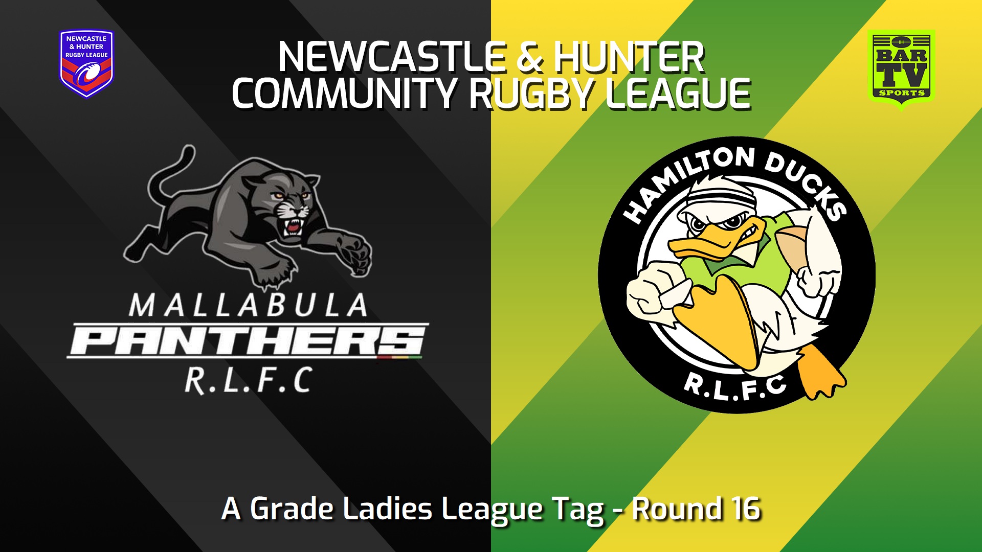 240810-video-NHRL A Grade Ladies League Tag - Mallabula Panthers v Hamilton Ducks Slate Image