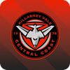 Killarney Vale Bombers Logo