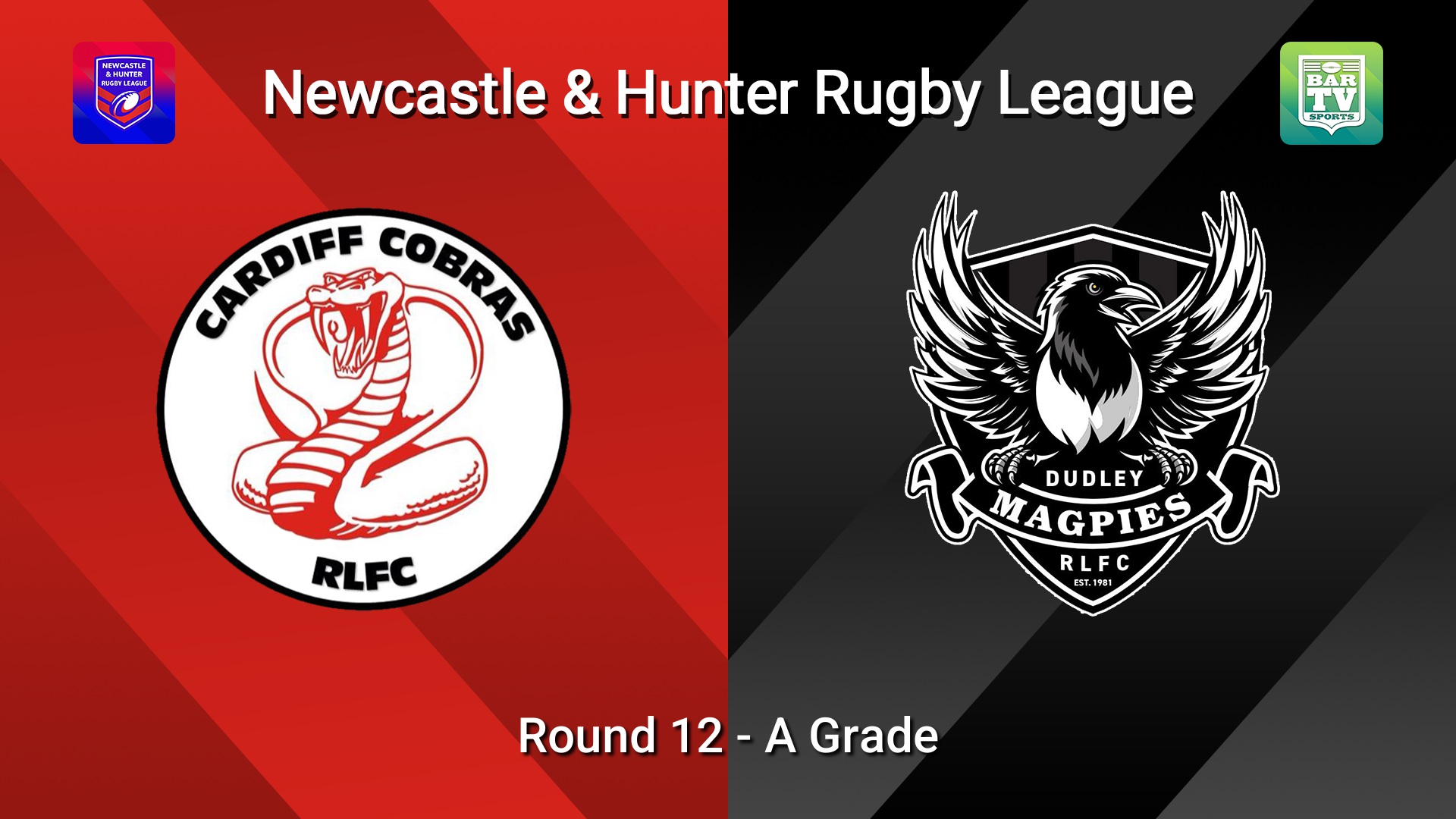 260725-video-NHRL Round 12 - A Grade - Cardiff v Dudley Magpies Minigame Slate Image