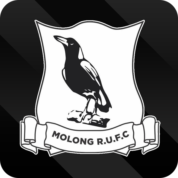 Molong Magpies Logo