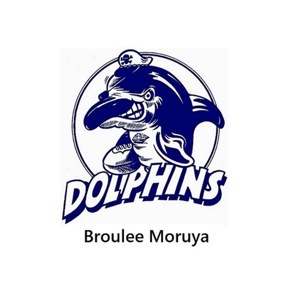 Broulee Dolphins Logo