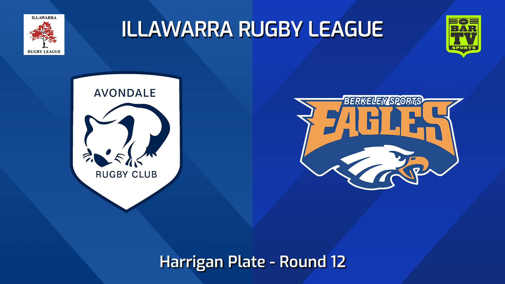 240720-video-Illawarra Round 12 - Harrigan Plate - Avondale Wombats v Berkeley Eagles Slate Image
