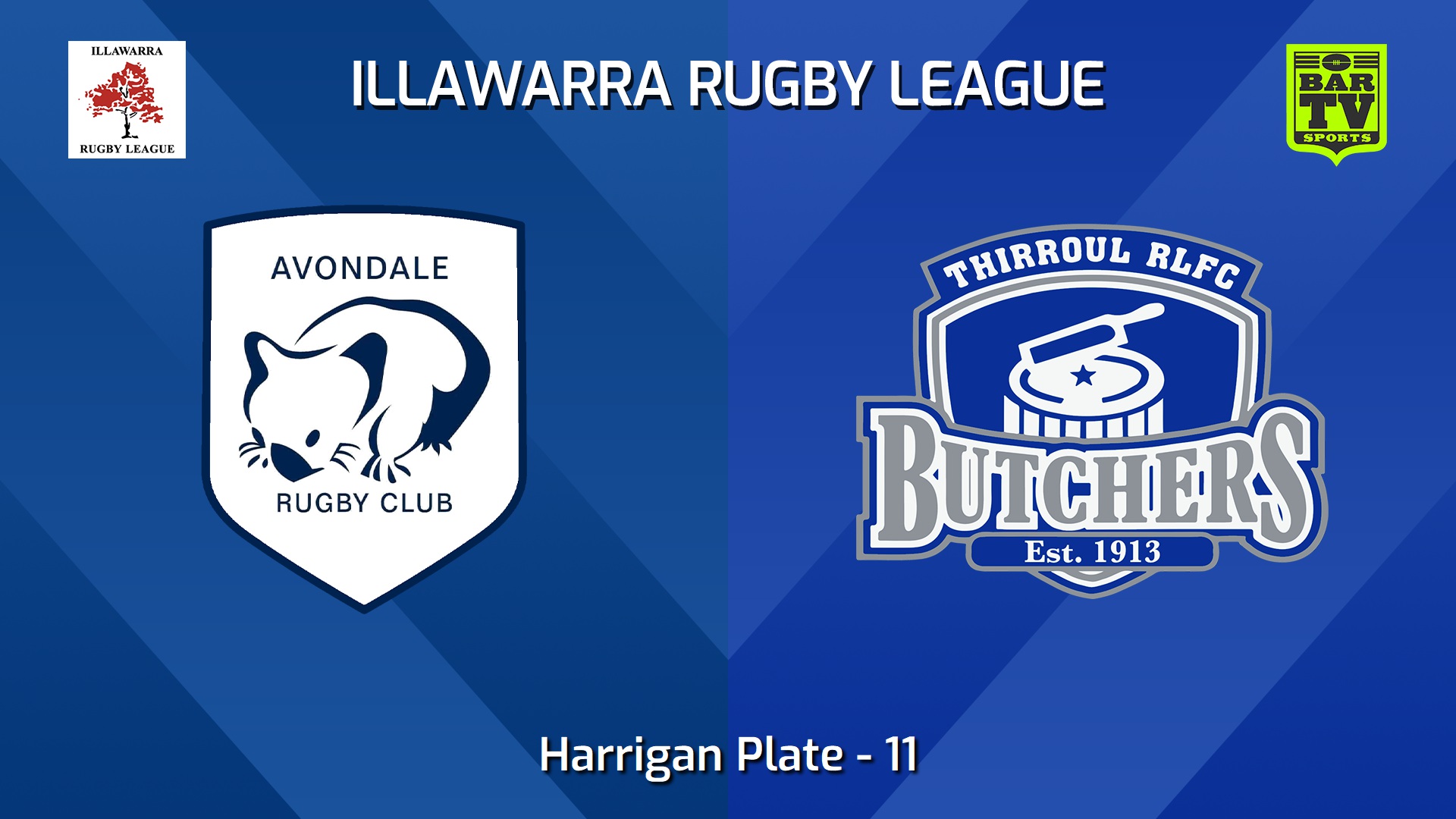 240629-video-Illawarra 11 - Harrigan Plate - Avondale Wombats v Thirroul Butchers Slate Image