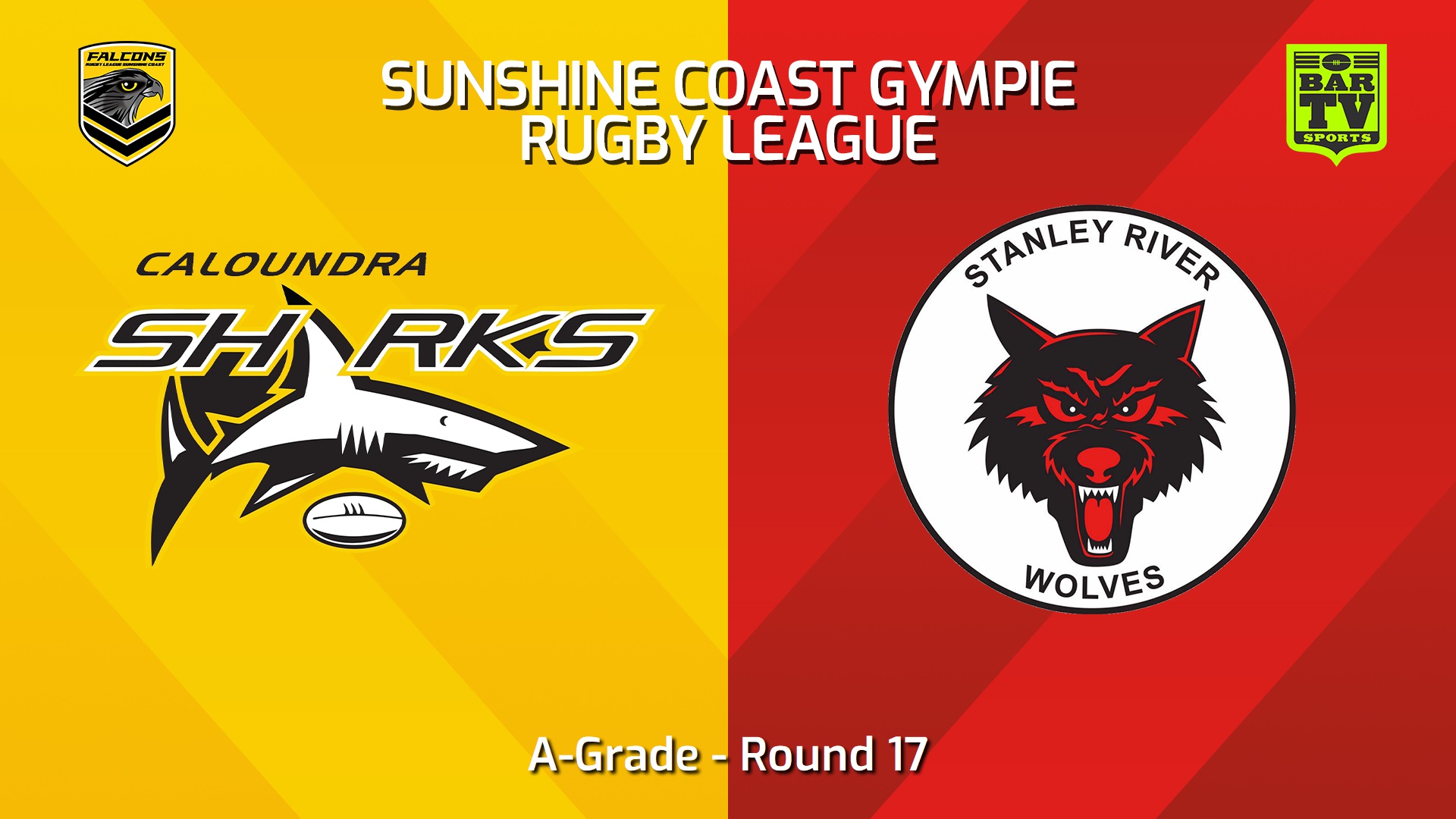 240811-video-Sunshine Coast RL Round 17 - A-Grade - Caloundra Sharks v Stanley River Wolves Slate Image