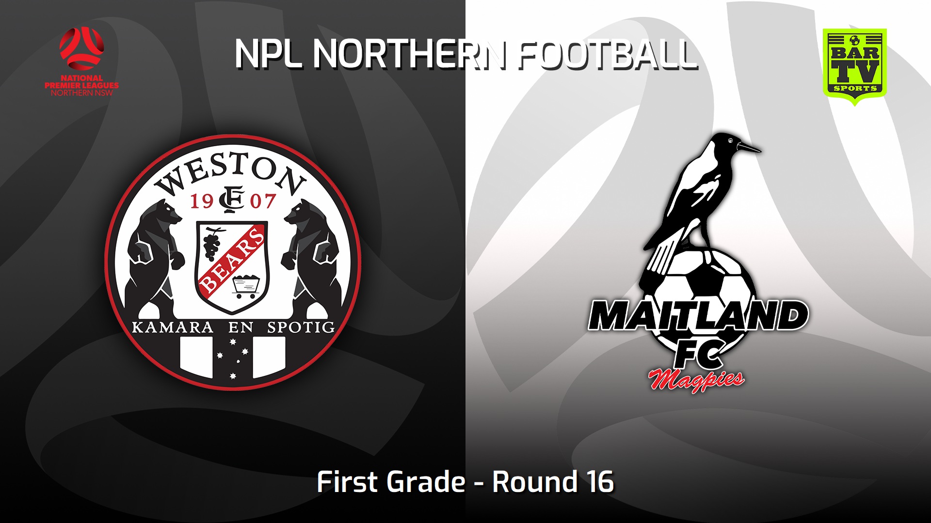 230625-NNSW NPLM Round 16 - Weston Workers FC v Maitland FC Slate Image