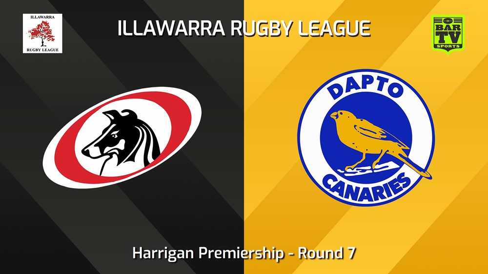 240602-video-Illawarra Round 7 - Harrigan Premiership - Collegians v Dapto Canaries Slate Image