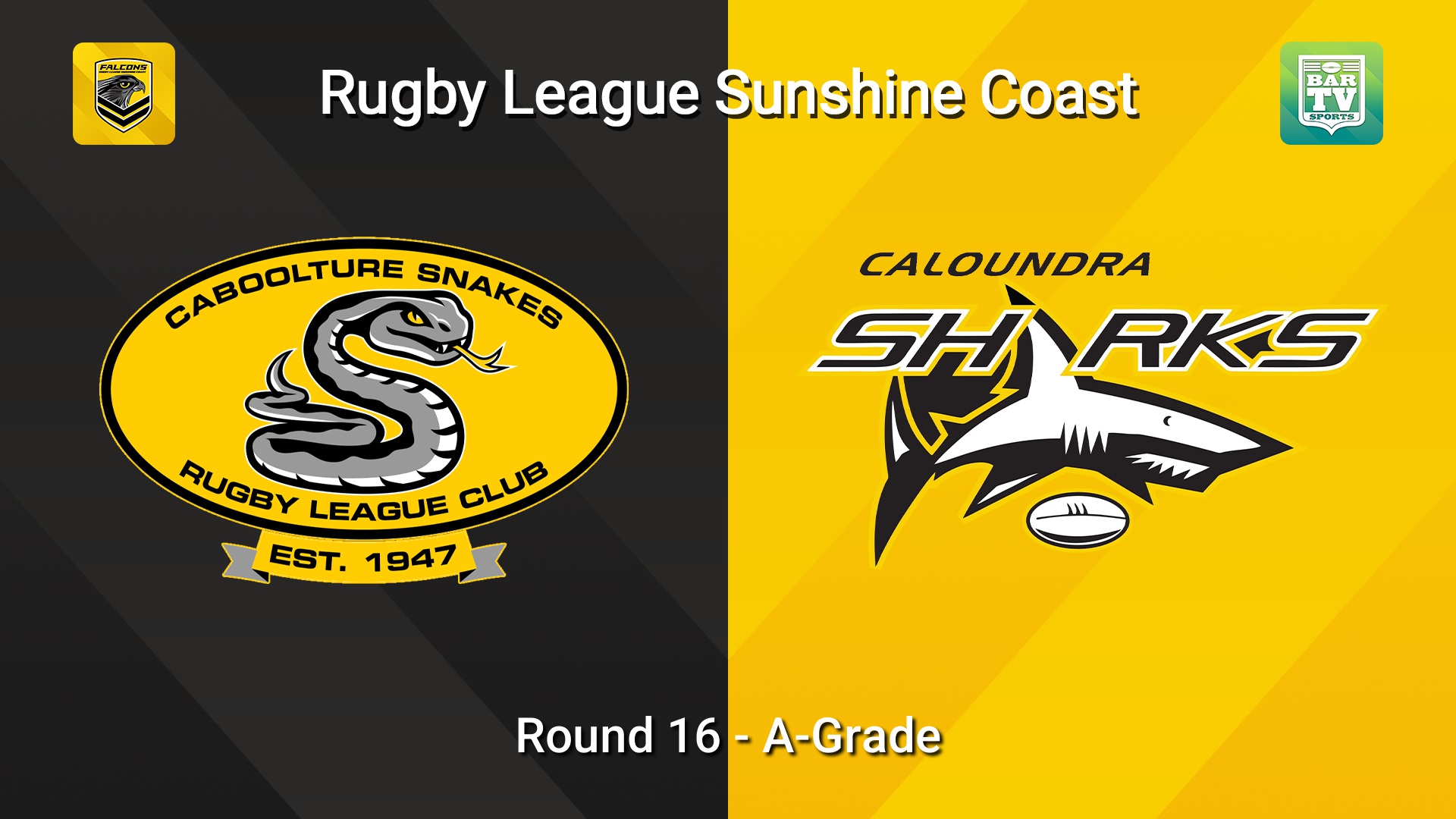 260801-video-Sunshine Coast RL Round 16 - A-Grade - Caboolture Snakes v Caloundra Sharks Slate Image