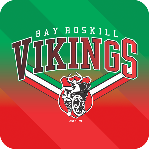 Bay Roskill Vikings Logo