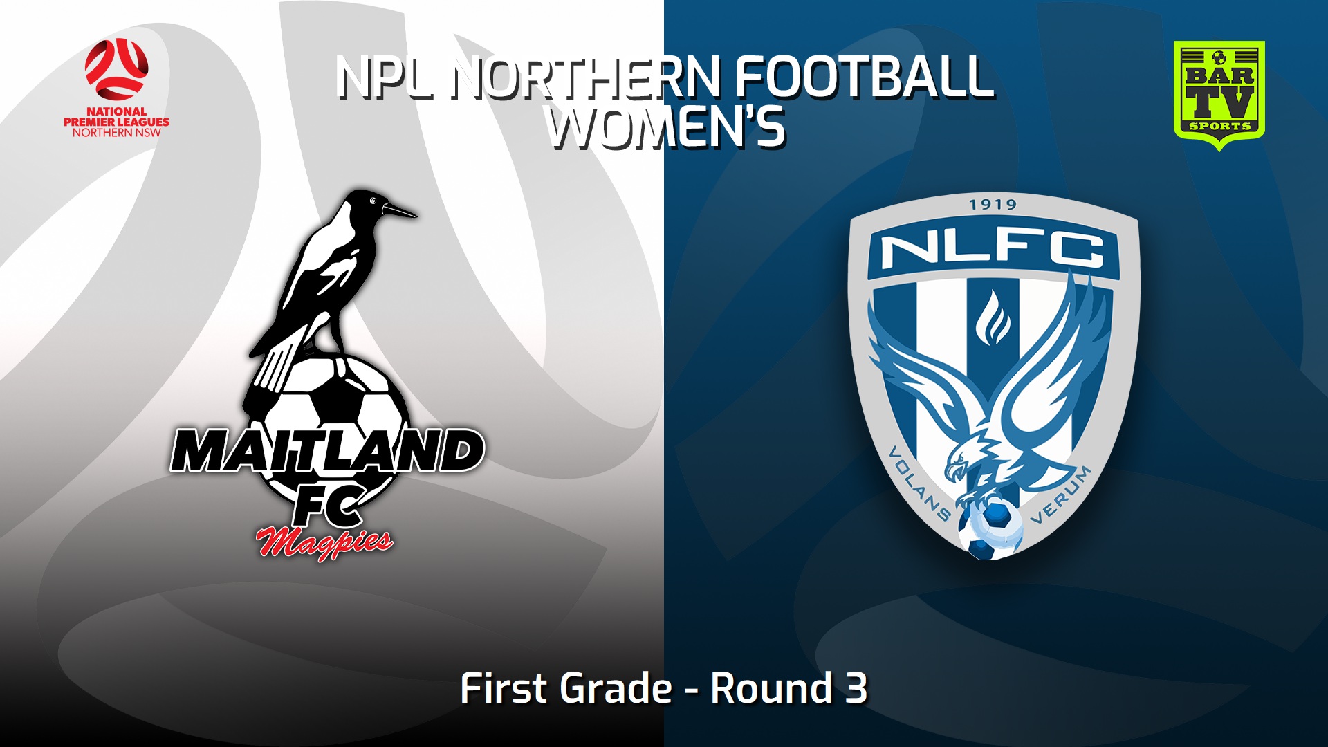 230319-NNSW NPLW Round 3 - Maitland FC W v New Lambton FC W Slate Image