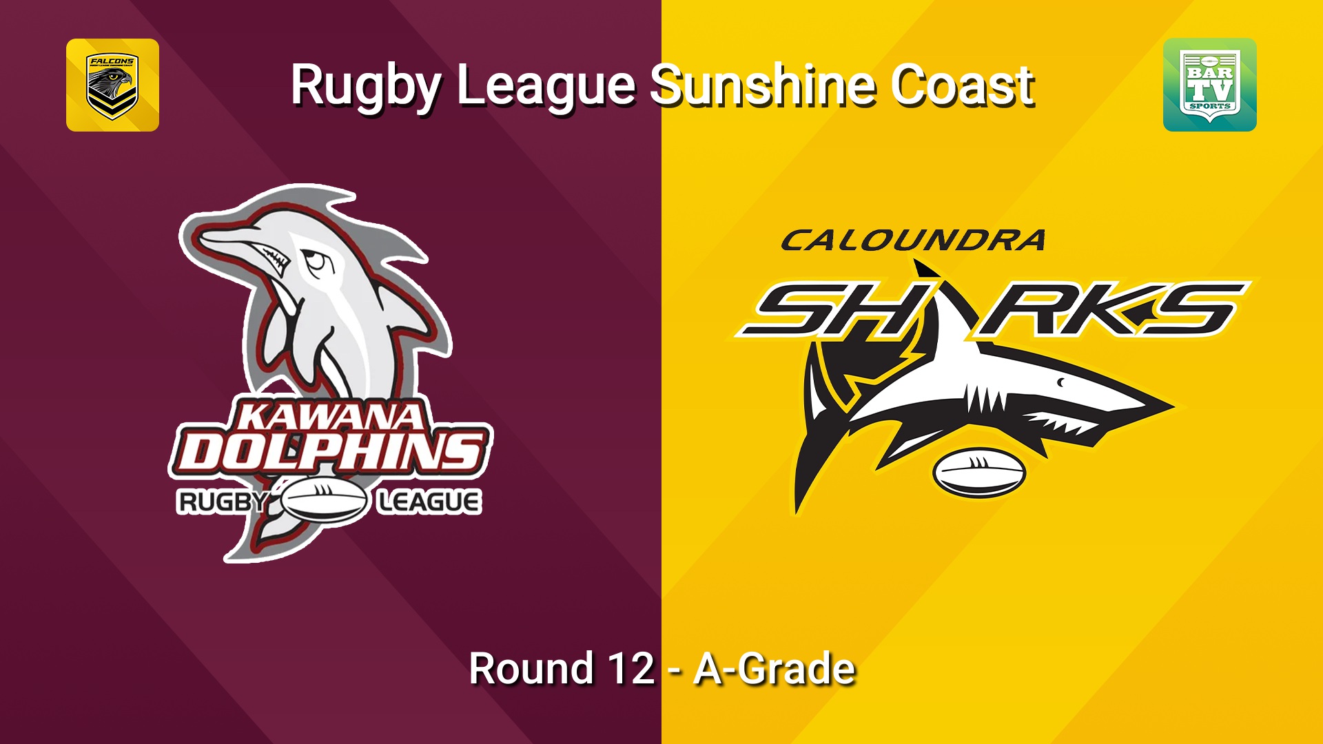 260705-video-Sunshine Coast RL Round 12 - A-Grade - Kawana Dolphins v Caloundra Sharks Slate Image