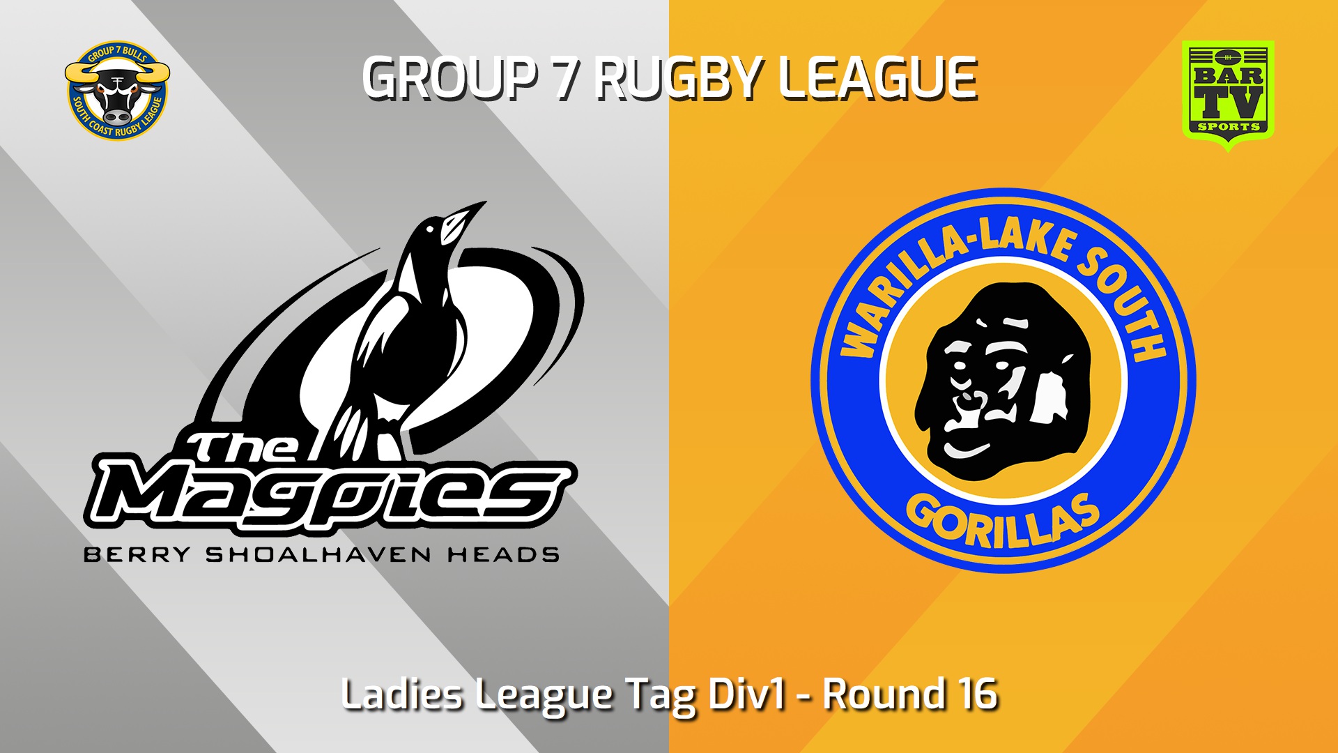 240803-video-South Coast Round 16 - Ladies League Tag Div1 - Berry-Shoalhaven Heads Magpies v Warilla-Lake South Gorillas Slate Image