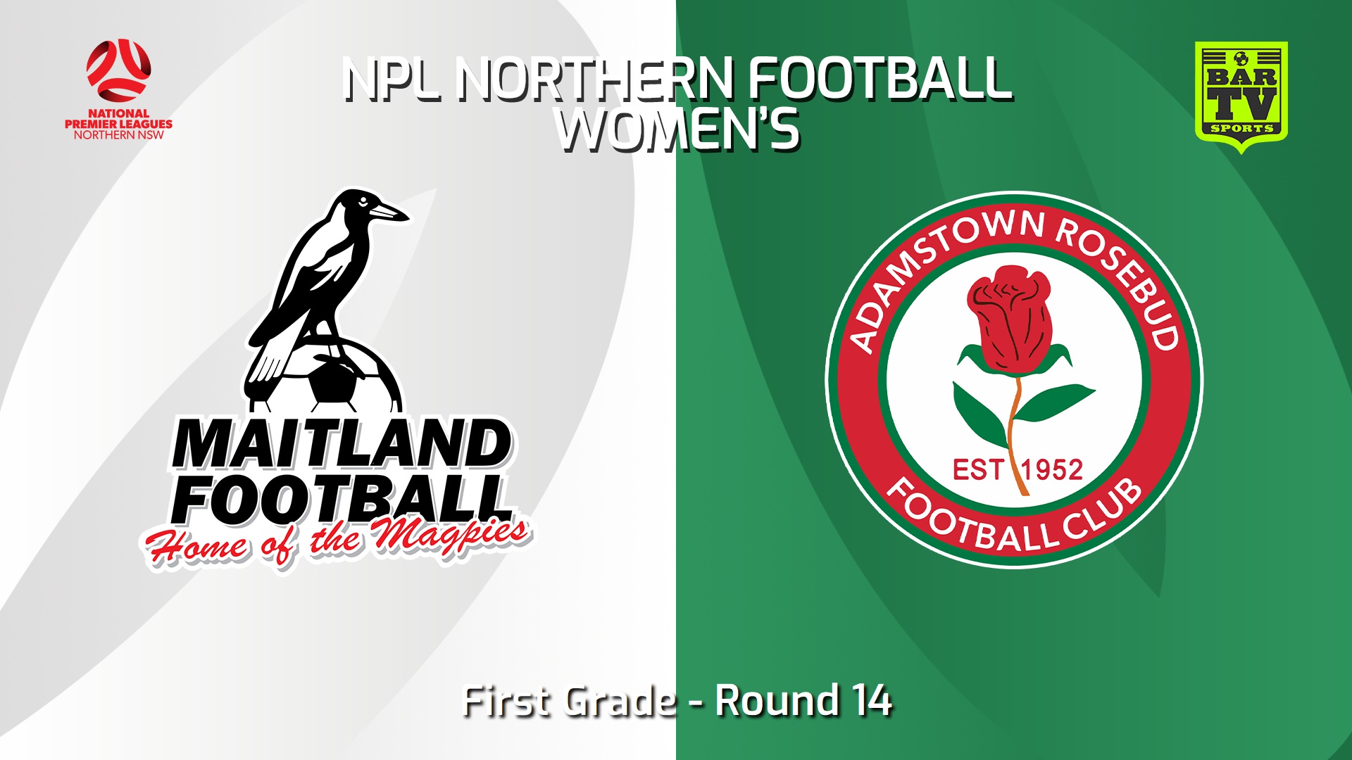 240616-video-NNSW NPLW Round 14 - Maitland FC W v Adamstown Rosebud JFC W Slate Image