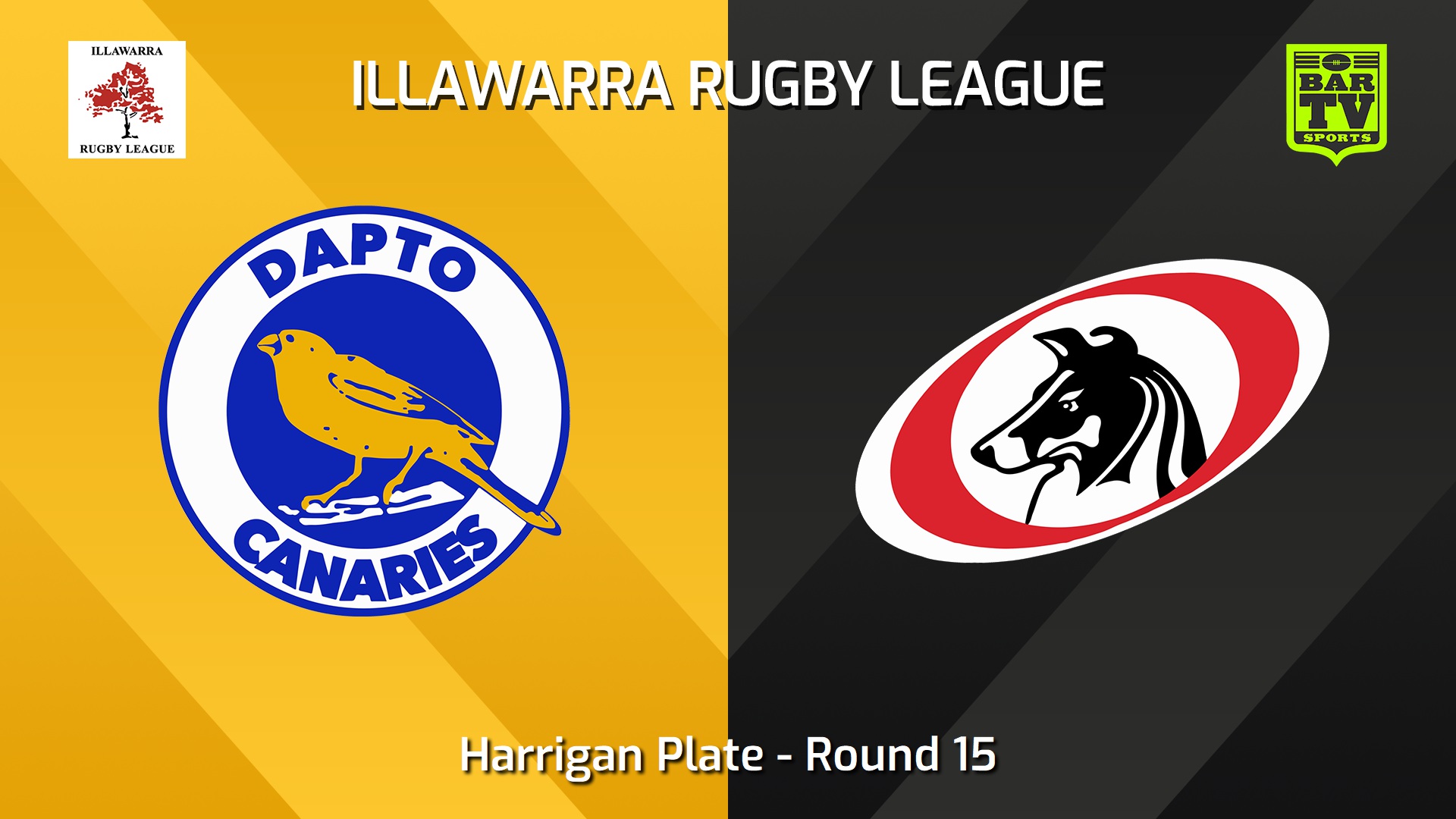 240810-video-Illawarra Round 15 - Harrigan Plate - Dapto Canaries v Collegians Slate Image