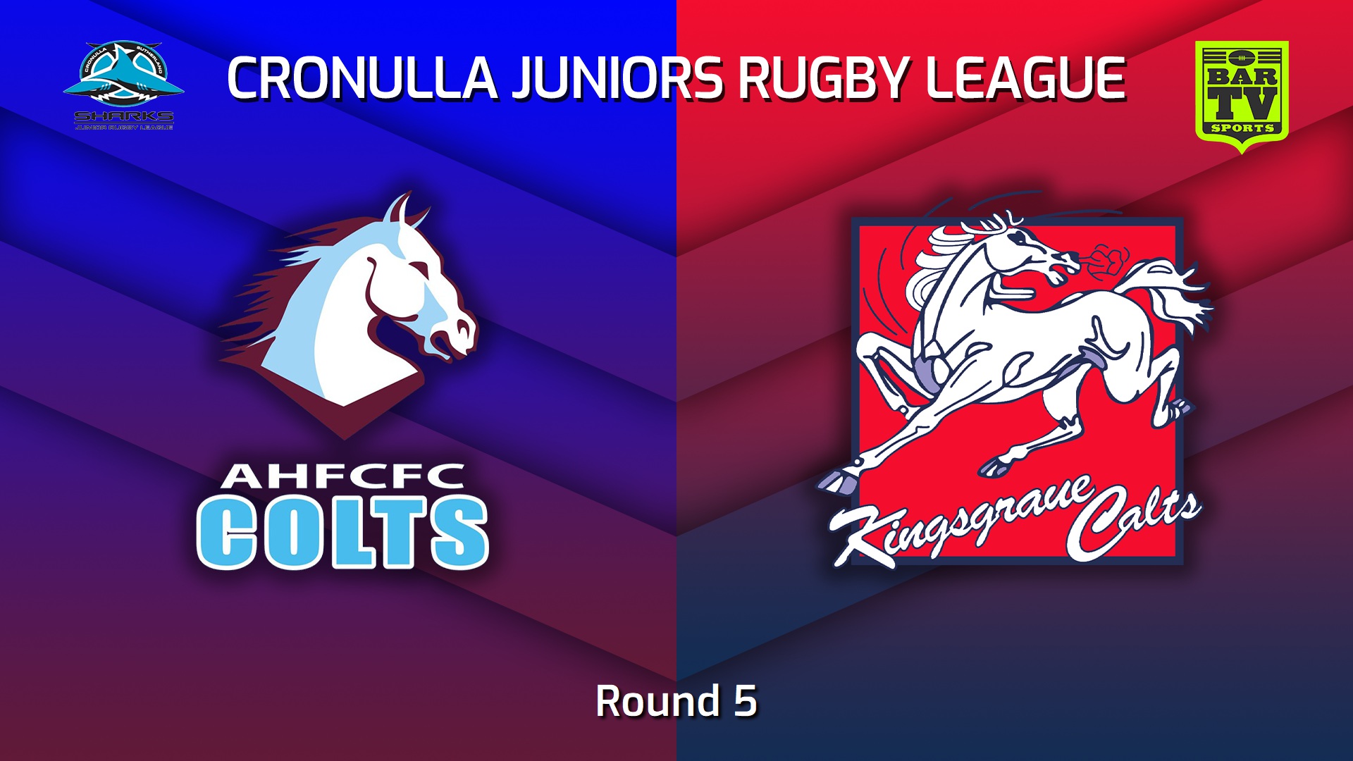 230514-Cronulla Juniors Round 5 - U13 Gold Blues Tag - Aquinas Colts v Kingsgrove Colts Slate Image