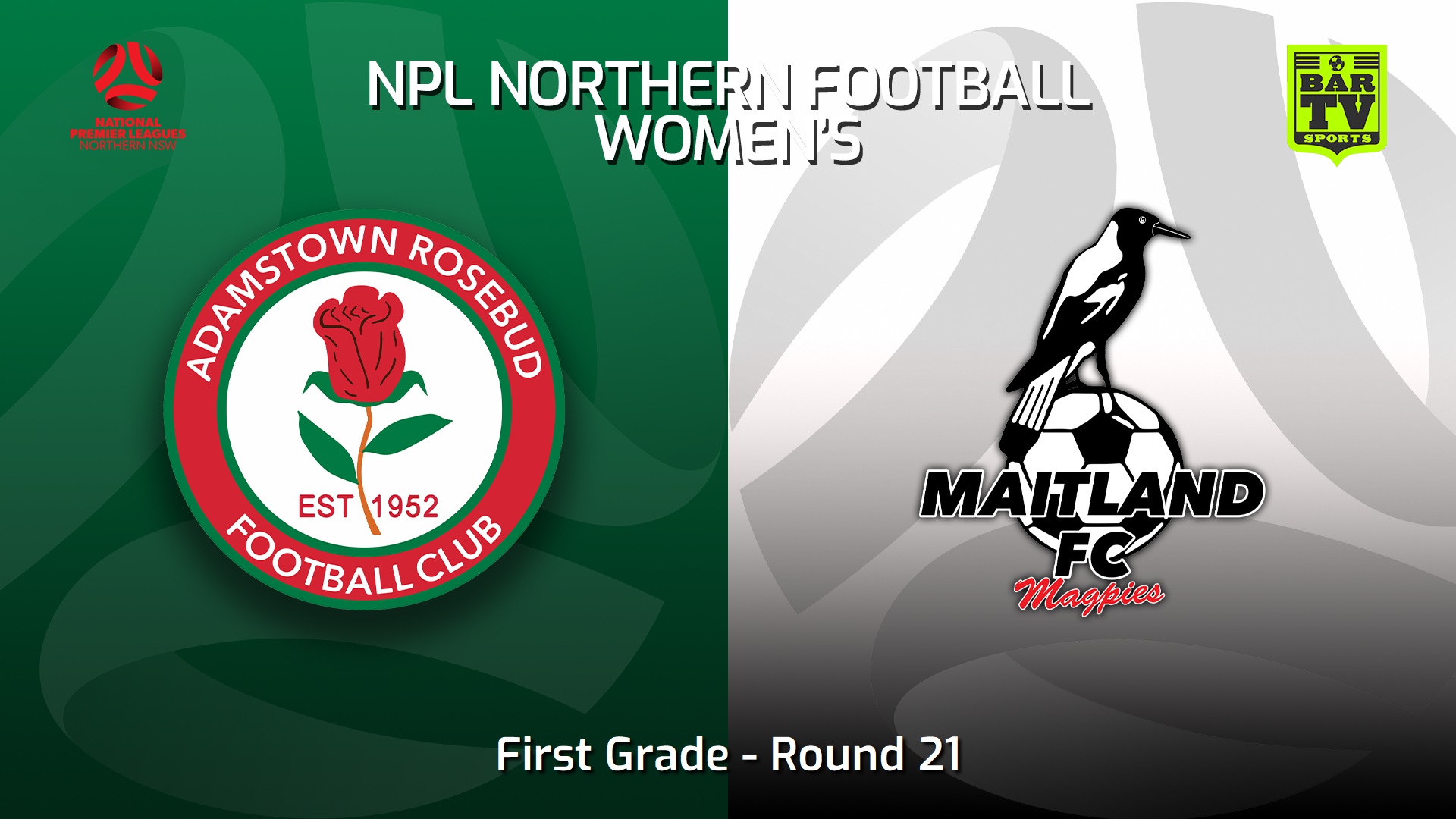 230819-NNSW NPLW Round 21 - Adamstown Rosebud JFC W v Maitland FC W Slate Image