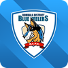 Bombala Blue Heelers Logo