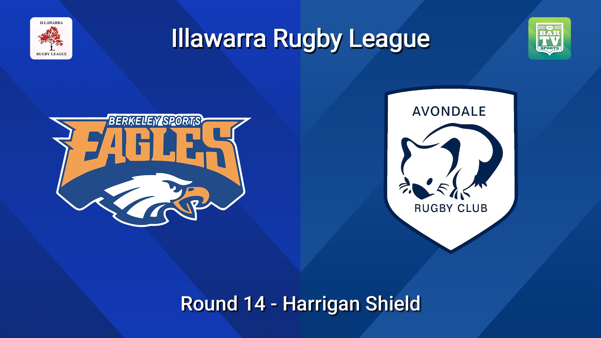 260815-video-Illawarra Round 14 - Harrigan Shield - Berkeley Eagles v Avondale Wombats Slate Image