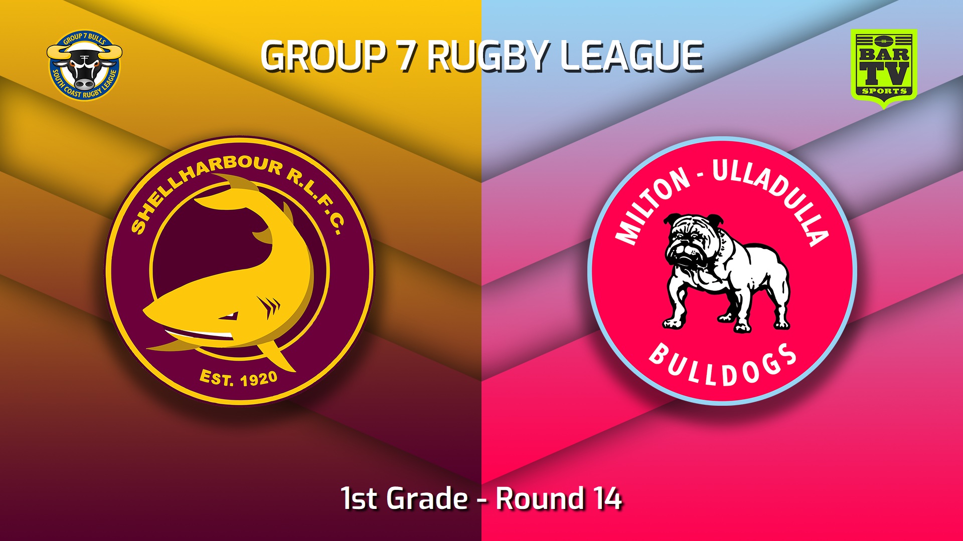 220724-South Coast Round 14 - 1st Grade - Shellharbour Sharks v Milton-Ulladulla Bulldogs Slate Image