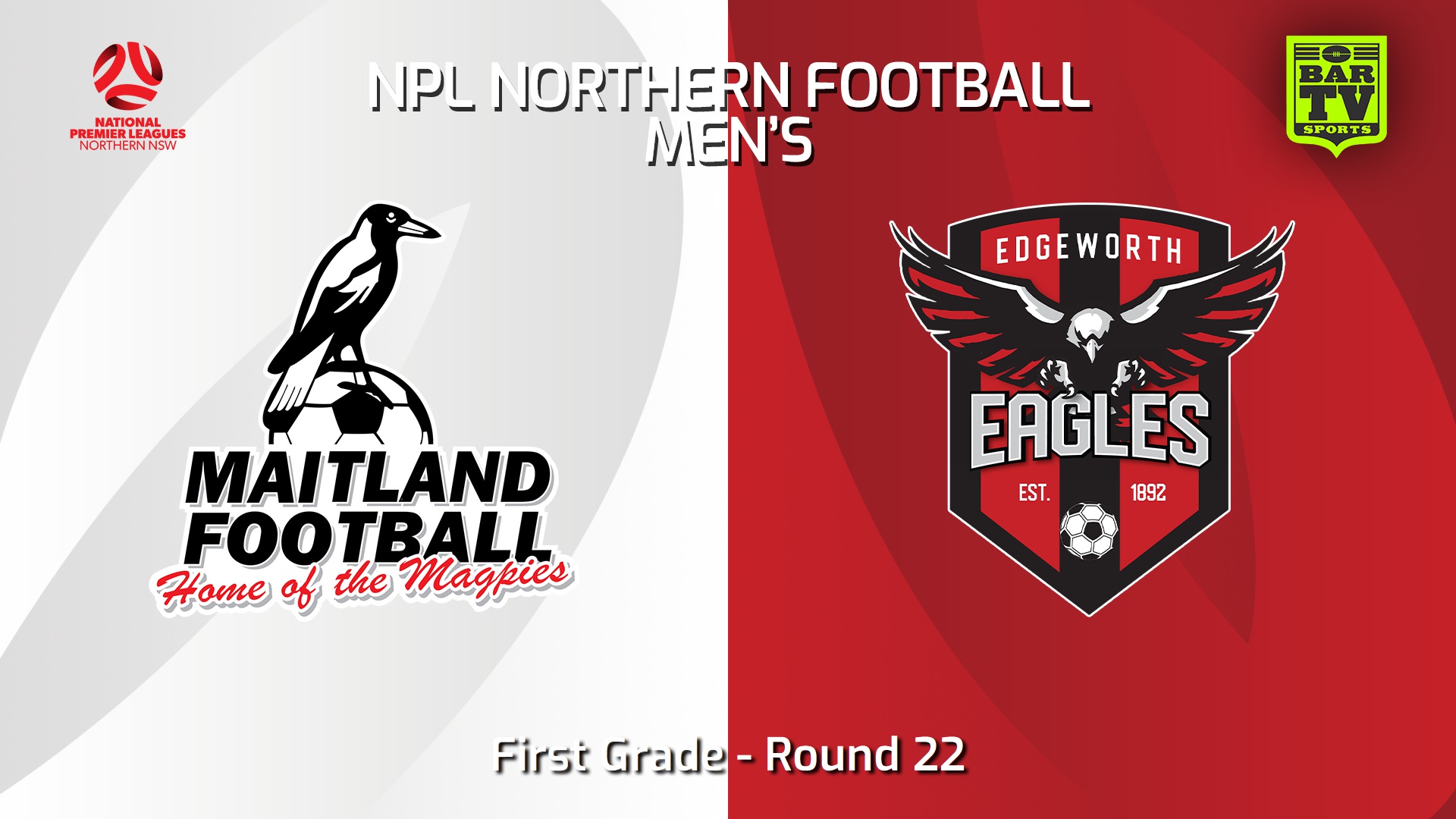 240818-video-NNSW NPLM Round 22 - Maitland FC v Edgeworth Eagles FC Slate Image