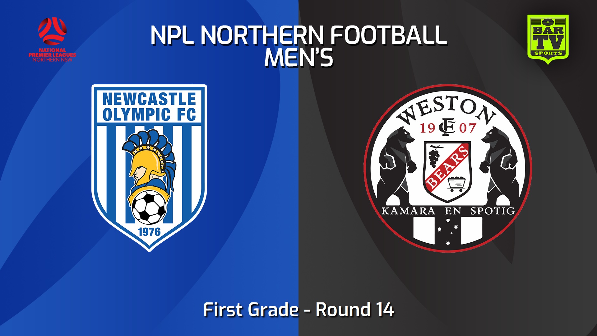 240803-video-NNSW NPLM Round 14 - Newcastle Olympic v Weston Workers FC Slate Image