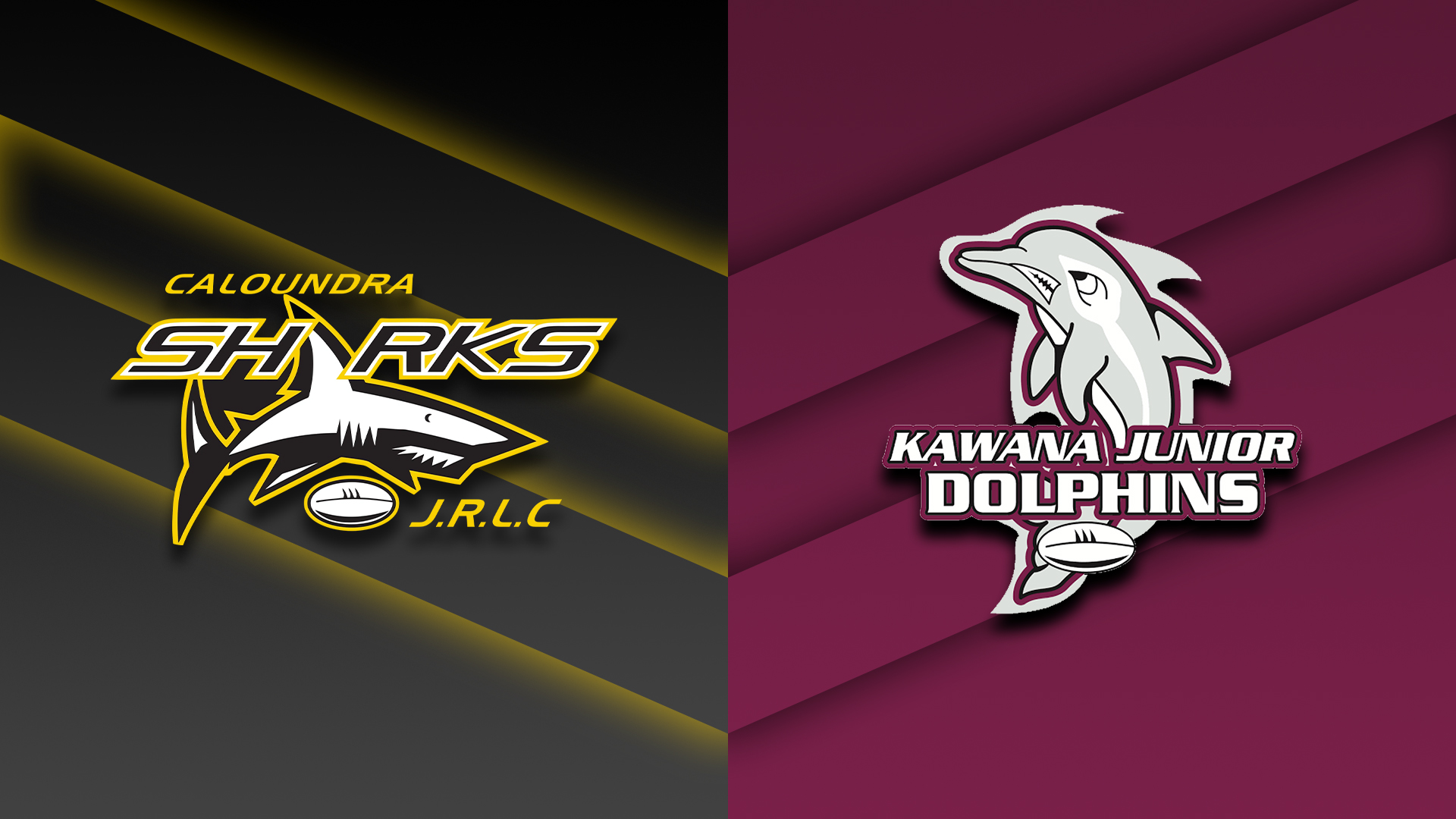 230331-Sunshine Coast Junior Rugby League U16 Div 1 - Round 2 - Caloundra Sharks v Kawana Dolphins Slate Image