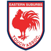Eastern Suburbs Touch Association Logo