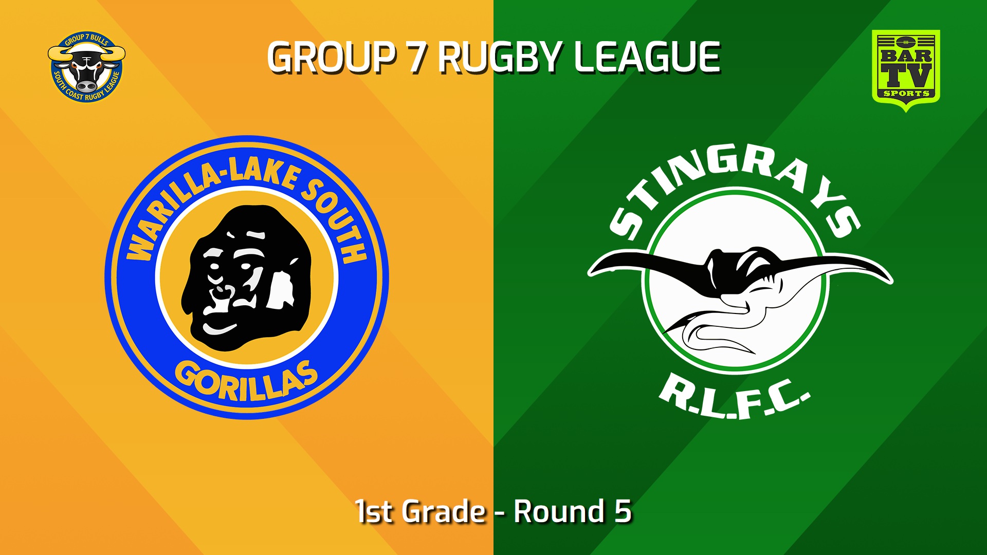 240505-video-South Coast Round 5 - 1st Grade - Warilla-Lake South Gorillas v Stingrays of Shellharbour Slate Image