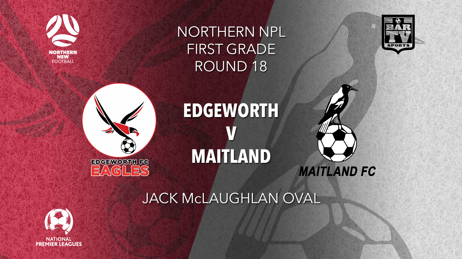 NPL - NNSW Round 18 - Edgeworth Eagles FC v Maitland FC Slate Image